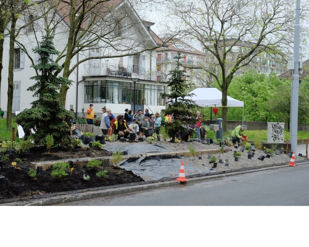 Plantations du 23 mars 2023