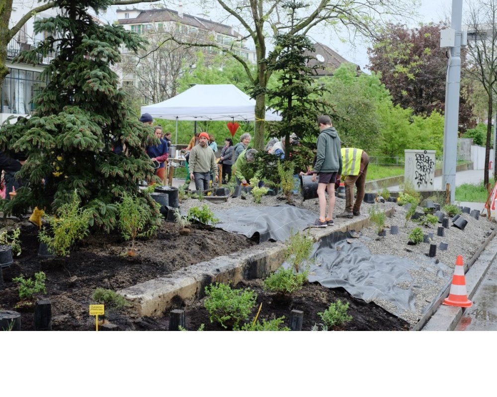 Plantations du 23 mars 2023