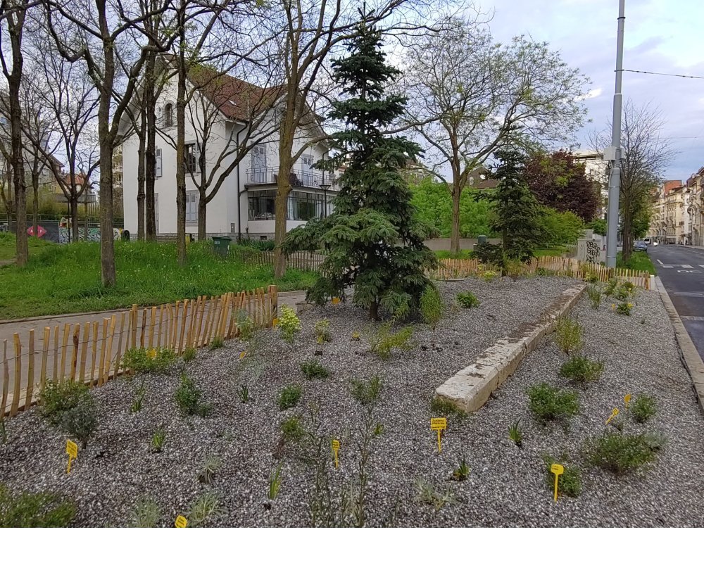 Etat du jardin après plantation - 1/5/2023 ©Alain Dubois