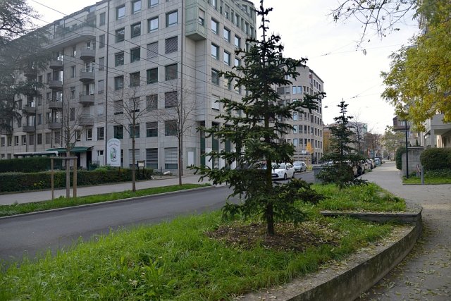 Emplacement du jardin botanique, rue de Saint-Jean 39